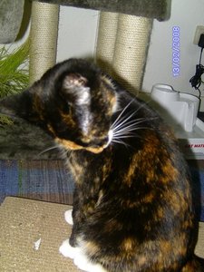 BILD1182.JPG BILD1182.JPG