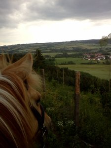 IMG1398.jpg IMG1398.jpg