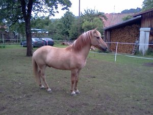 IMG1495.jpg IMG1495.jpg