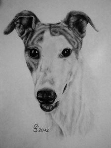 img_86059kam4.jpg img_86059kam4.jpg