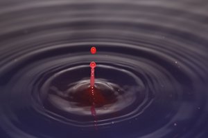 IMG_3258.jpg IMG_3258.jpg