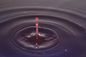 IMG_3303.jpg IMG_3303.jpg