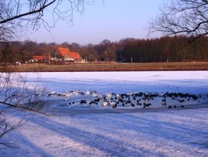 Am Obersee 001bk.jpg