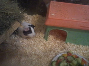 ff7ryq.jpg ff7ryq.jpg