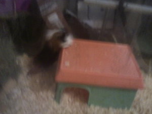 x2qhkx.jpg x2qhkx.jpg