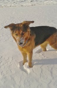 2012-02-08 14.11.48.jpg