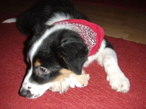 gedc2292.jpg gedc2292.jpg