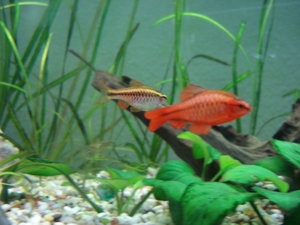 DSC01594.JPG DSC01594.JPG