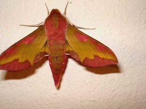 K640_DSC03723____2.JPG K640_DSC03723____2.JPG