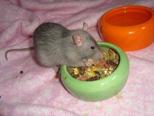 DSC01762.JPG DSC01762.JPG