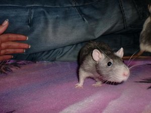 CIMG0928.JPG CIMG0928.JPG