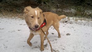 09022012289 (1024x575).jpg