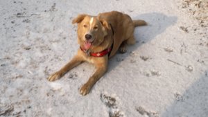 09022012293 (1024x575).jpg