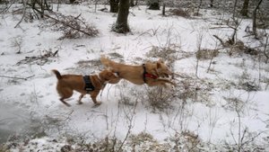 09022012285 (1024x575).jpg