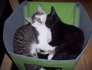 100_2640.jpg 100_2640.jpg