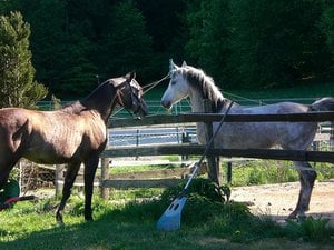 image_0030.jpg image_0030.jpg