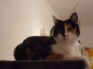 P1030214.JPG P1030214.JPG