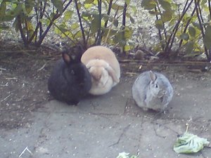 DSC00890 (640x480).jpg