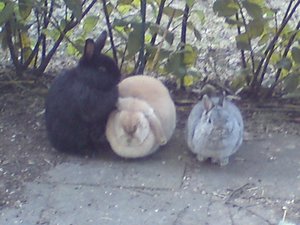 DSC00891 (640x480).jpg