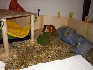 Foto0053.jpg Foto0053.jpg