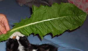 Untitled 2.jpg Untitled 2.jpg