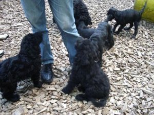 DSCI0141k.jpg DSCI0141k.jpg