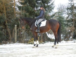 Tiffany.jpg Tiffany.jpg