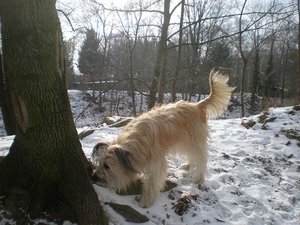 2012-02-12 Colmar.JPG