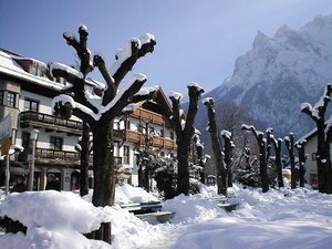 2012-02-12 Bäume 2.JPG