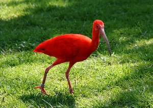 IMG_1273web.jpg IMG_1273web.jpg