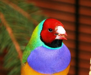 IMG_0335web.jpg IMG_0335web.jpg