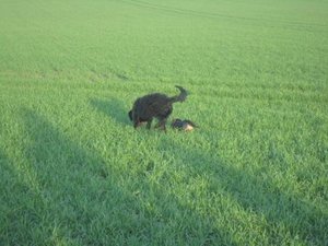 IMG_5317klein.jpg IMG_5317klein.jpg