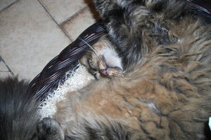 267431_1973575752696_1642125528_1983200_12469_n.jpg 267431_1973575752696_1642125528_1983200_12469_n.jpg