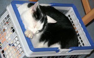 IMG_4597web.jpg IMG_4597web.jpg