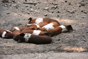 IMG_7720web.jpg IMG_7720web.jpg