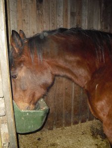 smiley 006.JPG smiley 006.JPG