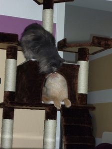 P1000749.JPG P1000749.JPG