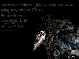 blutige tränen b.jpg