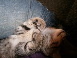 PA280106.JPG PA280106.JPG