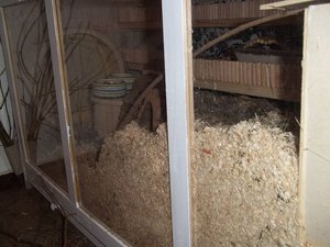 gh104_1319.JPG gh104_1319.JPG