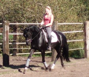 289233_8.jpg 289233_8.jpg