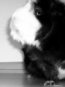 jfgh12.jpg jfgh12.jpg