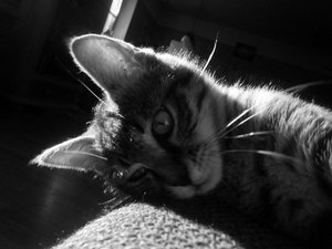 P1110048.JPG P1110048.JPG