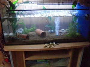 Aquarium (2) bearbeitet.JPG