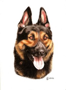 scannedimagekkkleinwzl3t.jpg scannedimagekkkleinwzl3t.jpg