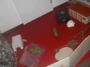 gh104_1386.JPG gh104_1386.JPG