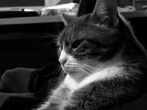 K640_Profil schwarz-weiß.JPG