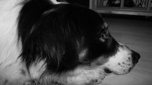 zzzzzzed.jpg zzzzzzed.jpg