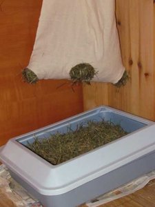 K640_IMG_2273.JPG K640_IMG_2273.JPG