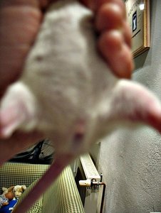 17.o2.12 Power 002.JPG